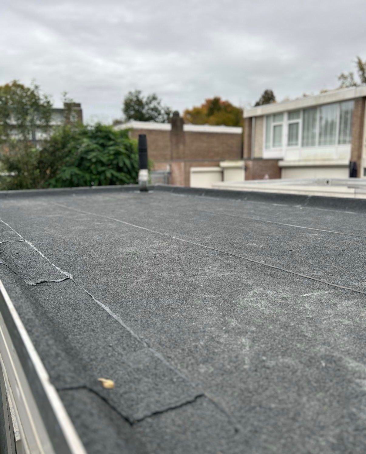 bitumen dak vervangen